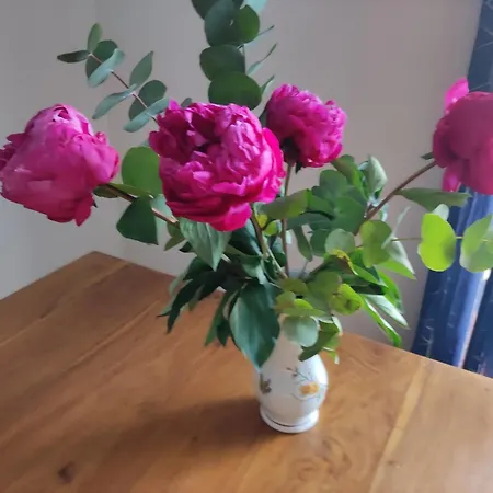 F2 Vue Et Montagne Au Calme 아파트 니스